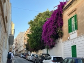 Maltalingua School, Malta - Erasmus+