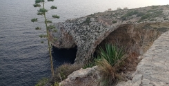 Maltalingua School, Malta - Erasmus+
