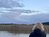 Nousiaisten lukio, Nousiainen/Turku/Helsinki/Finland Erasmus+