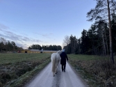 Nousiaisten lukio, Nousiainen/Turku/Helsinki/Finland Erasmus+