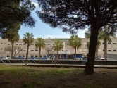 Long-Term Mobility in Cádiz – Week 1