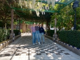 Long-Term Mobility in Cádiz – Week 1