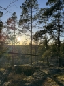 Week 1+2 in Finland – Erasmus+